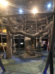 IMG_9744 (1).jpg IMG_9744 (1).jpg