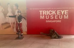 IMG_9598.jpg IMG_9598.jpg