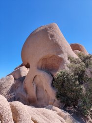 2019-10-04 12.32.18.jpg