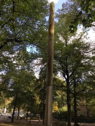 8E33D270-CCAA-4707-AB4A-B83CEA90B1D6.jpeg 8E33D270-CCAA-4707-AB4A-B83CEA90B1D6.jpeg