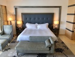 B8066589-D393-4909-B0E9-78A63F33EDEF.jpeg B8066589-D393-4909-B0E9-78A63F33EDEF.jpeg