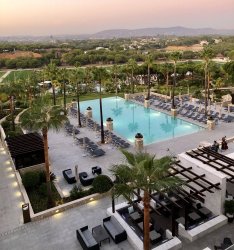 F0D4ED65-9833-4D31-BDC0-A602890A2822.jpeg F0D4ED65-9833-4D31-BDC0-A602890A2822.jpeg