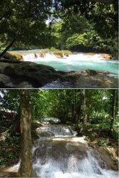 Snip 55.JPG Snip 55.JPG