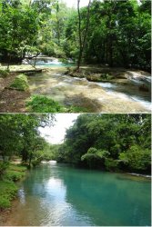 Snip 56.JPG Snip 56.JPG