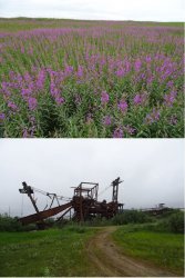 Snip 301.JPG Snip 301.JPG