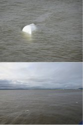 Snip 312.JPG Snip 312.JPG