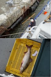 Snip 315.JPG Snip 315.JPG