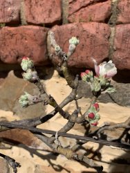 IMG_6850.JPG IMG_6850.JPG