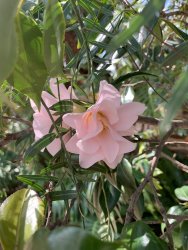 IMG_6854.JPG IMG_6854.JPG