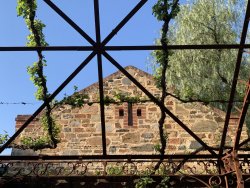 IMG_6865.JPG IMG_6865.JPG