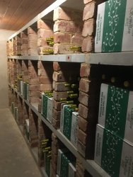 CC965E53-8EDB-48A2-A271-1CBD84E85A05.jpeg CC965E53-8EDB-48A2-A271-1CBD84E85A05.jpeg