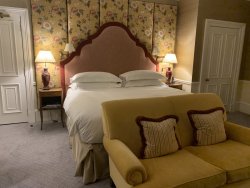 28D24451-4FEE-45C7-BAE4-CCCBABFF546C.jpeg 28D24451-4FEE-45C7-BAE4-CCCBABFF546C.jpeg