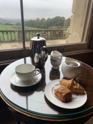 3B77C9B2-7190-48A2-90B6-1A9A300E456A.jpeg 3B77C9B2-7190-48A2-90B6-1A9A300E456A.jpeg