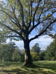 43872E5F-0BBD-412F-AA0C-D904B91CB239.jpeg 43872E5F-0BBD-412F-AA0C-D904B91CB239.jpeg