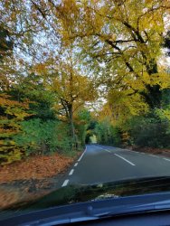 2019-11-10 14.20.21.jpg