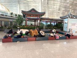 EF483B9C-EC5A-4FCD-99E7-EAB31A726CD6.jpeg EF483B9C-EC5A-4FCD-99E7-EAB31A726CD6.jpeg