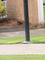 IMG_7371.JPG IMG_7371.JPG