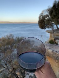 IMG_7374.JPG IMG_7374.JPG