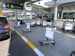 IMG_5869.JPG IMG_5869.JPG