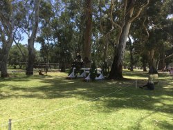 01259439-B35D-4DE9-B049-2F5E62068F7E.jpeg 01259439-B35D-4DE9-B049-2F5E62068F7E.jpeg