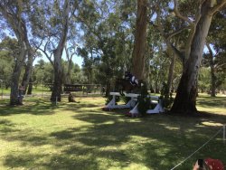 AD93D666-5BAB-439A-B9E0-50F935E44F9B.jpeg AD93D666-5BAB-439A-B9E0-50F935E44F9B.jpeg