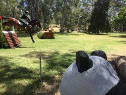 C3887401-7D39-45A3-B8A2-2109D2CE630A.jpeg C3887401-7D39-45A3-B8A2-2109D2CE630A.jpeg