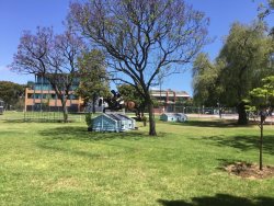 E8D5509B-77B0-4A2E-BE0B-59D15A4F0909.jpeg E8D5509B-77B0-4A2E-BE0B-59D15A4F0909.jpeg