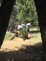 55B3E3A7-72E0-4FE0-8784-B6044358188B.jpeg 55B3E3A7-72E0-4FE0-8784-B6044358188B.jpeg