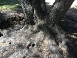 5245E7E2-DC41-4B8B-A3C8-B11A20AC98B4.jpeg 5245E7E2-DC41-4B8B-A3C8-B11A20AC98B4.jpeg