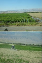 Snip 659.JPG Snip 659.JPG