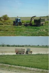 Snip 681.JPG Snip 681.JPG