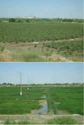 Snip 682.JPG Snip 682.JPG