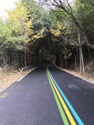 IMG_6101.JPG IMG_6101.JPG