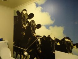 DSC04106.JPG DSC04106.JPG