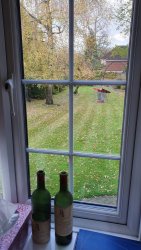 20191114_132956.jpg 20191114_132956.jpg