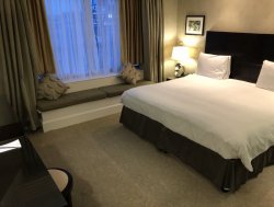 86A655B3-902D-4412-97B7-727D4283B177.jpeg 86A655B3-902D-4412-97B7-727D4283B177.jpeg