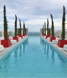 1AFF20EF-B1CC-4F14-BA05-F9840951DB48.jpeg 1AFF20EF-B1CC-4F14-BA05-F9840951DB48.jpeg