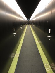 A1092CF8-BDA6-4EED-9DD8-6BBDCA2AD0D1.jpeg A1092CF8-BDA6-4EED-9DD8-6BBDCA2AD0D1.jpeg