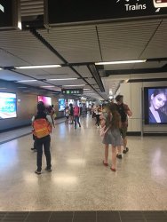 IMG_4014.jpg IMG_4014.jpg