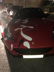 IMG_3115.jpg IMG_3115.jpg