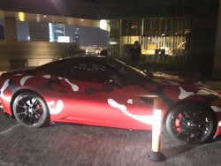 IMG_3118.jpg IMG_3118.jpg