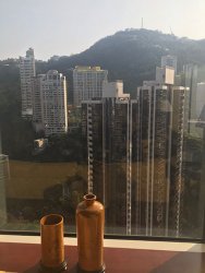 IMG_4423.jpg IMG_4423.jpg