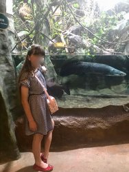 IMG_4132.jpg IMG_4132.jpg