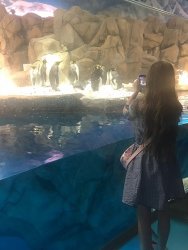 IMG_4181.jpg IMG_4181.jpg