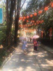 IMG_4196.jpg IMG_4196.jpg