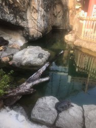 IMG_4238.jpg IMG_4238.jpg