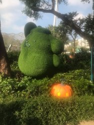 IMG_4243.jpg IMG_4243.jpg