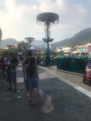 IMG_4252.jpg IMG_4252.jpg