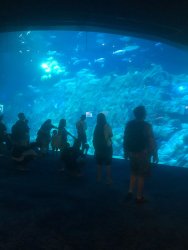 IMG_4257.jpg IMG_4257.jpg