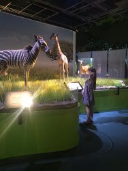 IMG_4779.jpg IMG_4779.jpg